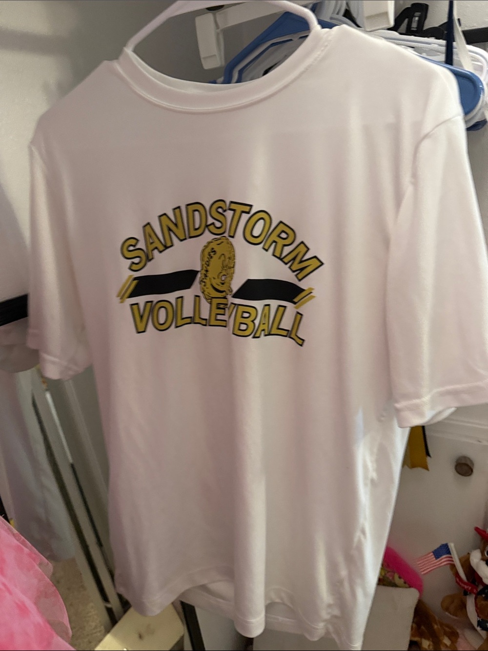 Sandstorm Volleyball White Graphic Tee